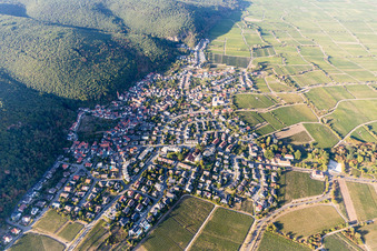 Village - view on the edge of wine yards in the district Koenigsbach in Neustadt an der Weinstrasse in the state Rhineland-Palatinate, Germany