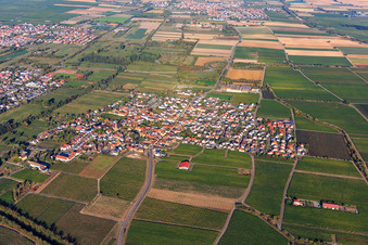 View of the winegrowing village between vineyards from the southwest in Ruppertsberg in the state Rhineland-Palatinate, Germany