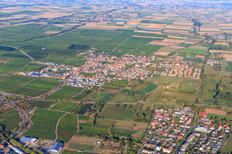 View of the winegrowing village between vineyards from the southwest in Niederkirchen bei Deidesheim in the state Rhineland-Palatinate, Germany
