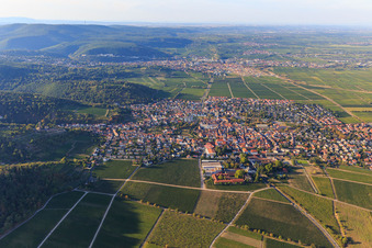 Wine village view between vineyards from the south in Wachenheim an der Weinstraße in the state Rhineland-Palatinate, Germany