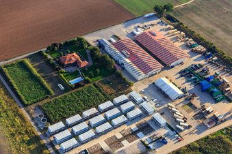 Vegetable cultivation - Dieter Stubenbordt in Zeiskam in the state Rhineland-Palatinate, Germany seen from above