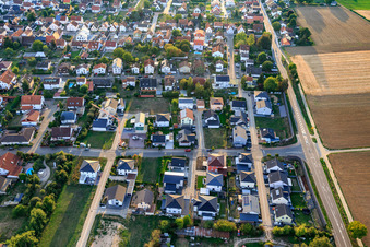 New development area Im Holderbusch from the east in Minfeld in the state Rhineland-Palatinate, Germany seen from above