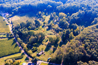 Aerial view of Garden at the edge of the forest in Dörrenbach in the state Rhineland-Palatinate, Germany