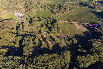 Aerial photograpy of Garden at the edge of the forest in Dörrenbach in the state Rhineland-Palatinate, Germany