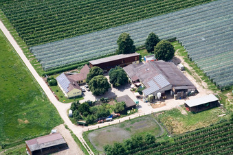 Oblique view of Gensheimer asparagus and fruit farm in the Lindenhof in Steinweiler in the state Rhineland-Palatinate, Germany