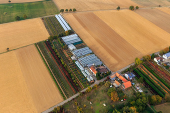 Nursery at the Neumühle in Vollmersweiler in the state Rhineland-Palatinate, Germany