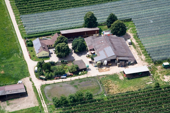 Gensheimer asparagus and fruit farm in the Lindenhof in Steinweiler in the state Rhineland-Palatinate, Germany from above