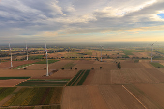 EnBW wind farm - wind turbine with 6 wind turbines in Freckenfeld in the state Rhineland-Palatinate, Germany from the drone perspective