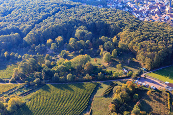 Oblique view of Garden at the edge of the forest in Dörrenbach in the state Rhineland-Palatinate, Germany