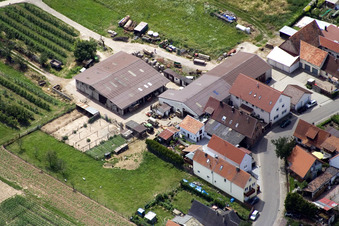 Oblique view of Wiesenstr in the district Mühlhofen in Billigheim-Ingenheim in the state Rhineland-Palatinate, Germany