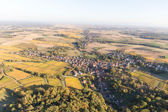 Aerial photograpy of Oberhoffen-les-Wissembourg in Oberhoffen-lès-Wissembourg in the state Bas-Rhin, France