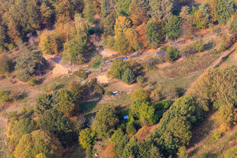 Garden at the edge of the forest in Dörrenbach in the state Rhineland-Palatinate, Germany from above