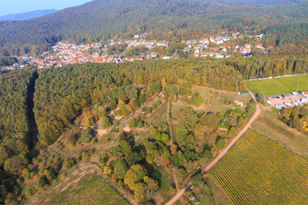 Garden at the edge of the forest in Dörrenbach in the state Rhineland-Palatinate, Germany out of the air