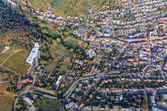 Kurpark and Edith Stein Clinic - Clinic for Orthopaedics from the South in Bad Bergzabern in the state Rhineland-Palatinate, Germany