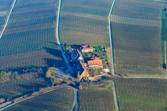 Aerial view of Hotel Leinsweiler Courtyard in Leinsweiler in the state Rhineland-Palatinate, Germany