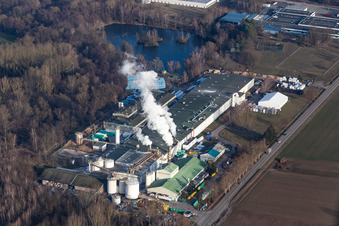 Sitek Insulation in the district Altenstadt in Wissembourg in the state Bas-Rhin, France