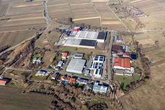 Building and production halls on the premises of the wine cellar Deutsches Weintor eG in the district Kleine Kalmit (Grosskelterei) in Ilbesheim bei Landau in der Pfalz in the state Rhineland-Palatinate, Germany