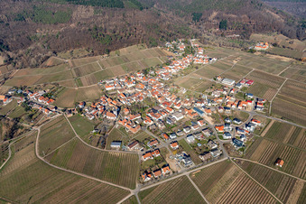 View of a winegrowing village from the southwest in winter without snow in Weyher in der Pfalz in the state Rhineland-Palatinate, Germany