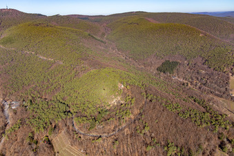 Aerial view of Wetterkreuzberg Chapel in Maikammer in the state Rhineland-Palatinate, Germany