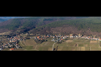 Fields of wine cultivation landscape in the district Haardt in Neustadt an der Weinstrasse in the state Rhineland-Palatinate, Germany