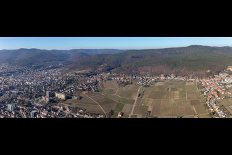 Panoramic perspective fields of wine cultivation landscape in the district Haardt in Neustadt an der Weinstrasse in the state Rhineland-Palatinate, Germany
