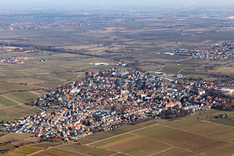 Local area and environment in Deidesheim in the state Rhineland-Palatinate