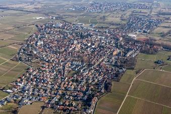 Aerial view of Local area and environment in Deidesheim in the state Rhineland-Palatinate