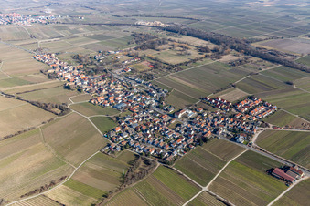 Village - view on the edge of wine yards in Forst an der Weinstrasse in the state Rhineland-Palatinate, Germany