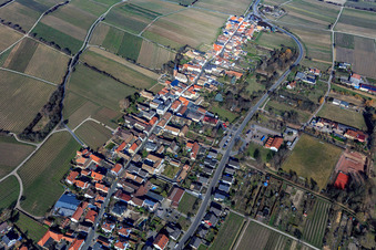 Wine Route and Bypass Im Stift in Forst an der Weinstraße in the state Rhineland-Palatinate, Germany