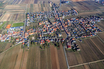 Village view in winter from the south in Friedelsheim in the state Rhineland-Palatinate, Germany