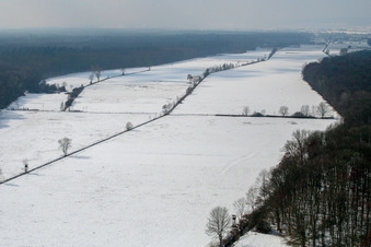 Otterbachtal in the Bienwald in winter with snow in Freckenfeld in the state Rhineland-Palatinate, Germany
