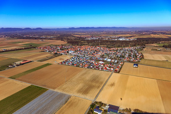 Oblique view of View from the southeast in Steinweiler in the state Rhineland-Palatinate, Germany