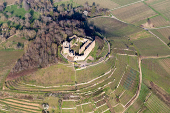 Autumn in the vineyard at the castle with structures of the roads to grow the vine of Baden the in Staufen in Breisgau in the state Baden-Wuerttemberg, Germany