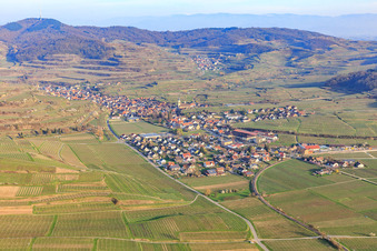 Winegrowing village on the Kaiserstuhl from the west in the district Oberrotweil in Vogtsburg im Kaiserstuhl in the state Baden-Wuerttemberg, Germany