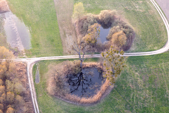 Ponds in a pond landscape in Leimersheim in the state Rhineland-Palatinate, Germany