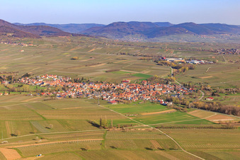 From the south in Göcklingen in the state Rhineland-Palatinate, Germany