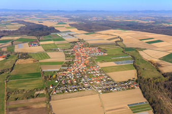 Overview of the town from the east in Erlenbach bei Kandel in the state Rhineland-Palatinate, Germany