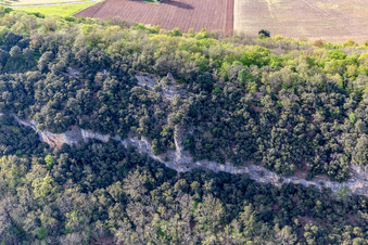Gardens of Marqueyssac in Vézac in the state Dordogne, France