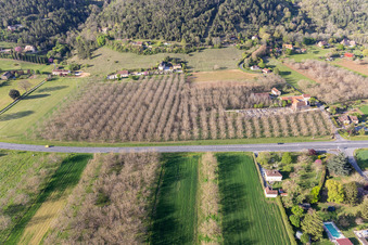Walnut plantations in Saint-Vincent-de-Cosse in the state Dordogne, France