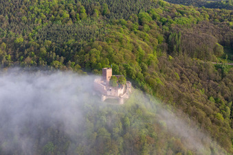 Landeck Castle in the morning mist in Klingenmünster in the state Rhineland-Palatinate, Germany from the plane