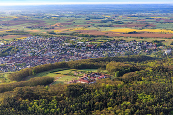 Liebfrauenberg Monastery from the northwest in Bad Bergzabern in the state Rhineland-Palatinate, Germany
