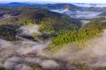 Morning mist over the Erlenbach in Bad Bergzabern in the state Rhineland-Palatinate, Germany