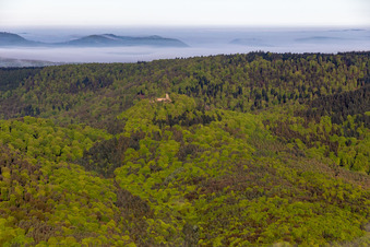 Aerial view of Guttenberg Castle Ruins in Oberotterbach in the state Rhineland-Palatinate, Germany