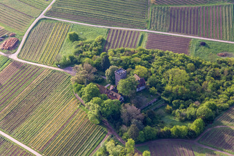 Chateau Saint Paul on the Sonnenberg in Wissembourg in the state Bas-Rhin, France out of the air