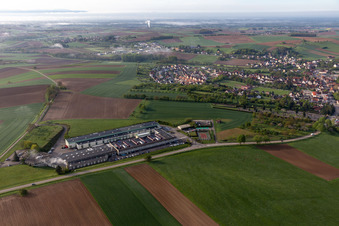 Walter in Retschwiller in the state Bas-Rhin, France