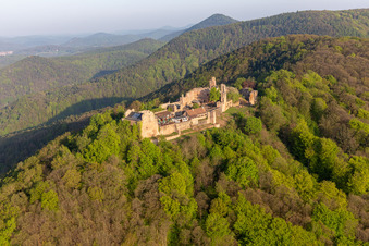 Aerial view of Ruins and vestiges of the former castle and fortress Burgruine Madenburg in Eschbach in the state Rhineland-Palatinate