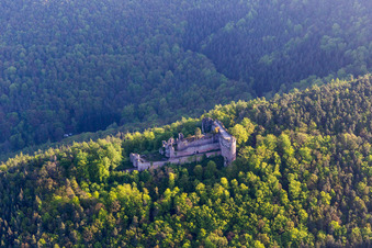 Neuscharfeneck Castle Ruins in Flemlingen in the state Rhineland-Palatinate, Germany from the plane