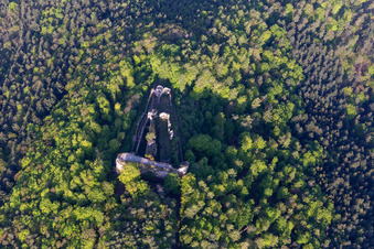 Neuscharfeneck Castle Ruins in Flemlingen in the state Rhineland-Palatinate, Germany viewn from the air