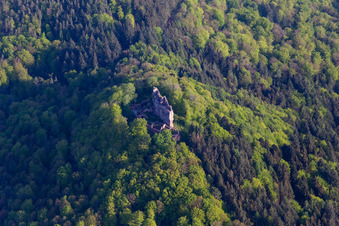 Meisteresel Castle in Ramberg in the state Rhineland-Palatinate, Germany