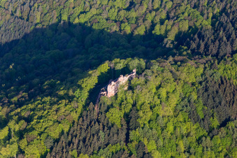 Aerial view of Meisteresel Castle in Ramberg in the state Rhineland-Palatinate, Germany